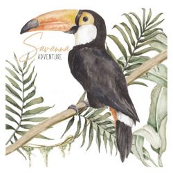 Stickers toucan savanne aventure - Dekornik - DEKO.N.NNM.056
