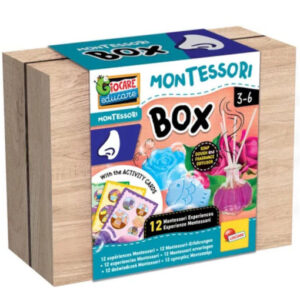 Montessori Plus - Jeux Montessori Box Odeur - Lisciani 105458