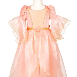 Déguisement Robe Marie Laure - Souza !