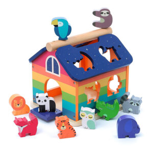 Boîte à formes – Maison arc-en-ciel – Vilac 7404